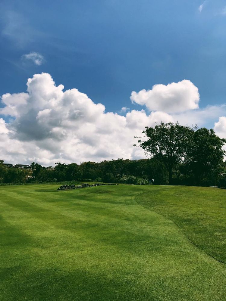 Lawn Care for Phillips Lawn Services in Ravenna, MI
