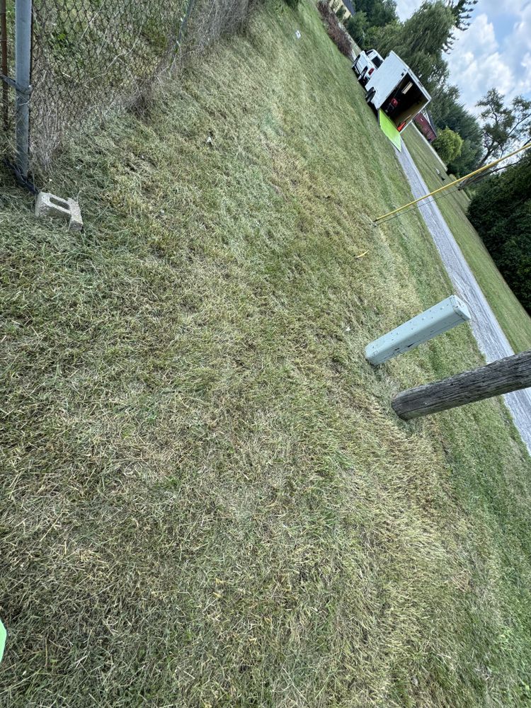 Landscaping Lawn Care for Daugherty's Tough Lawn Care in Essexville, MI