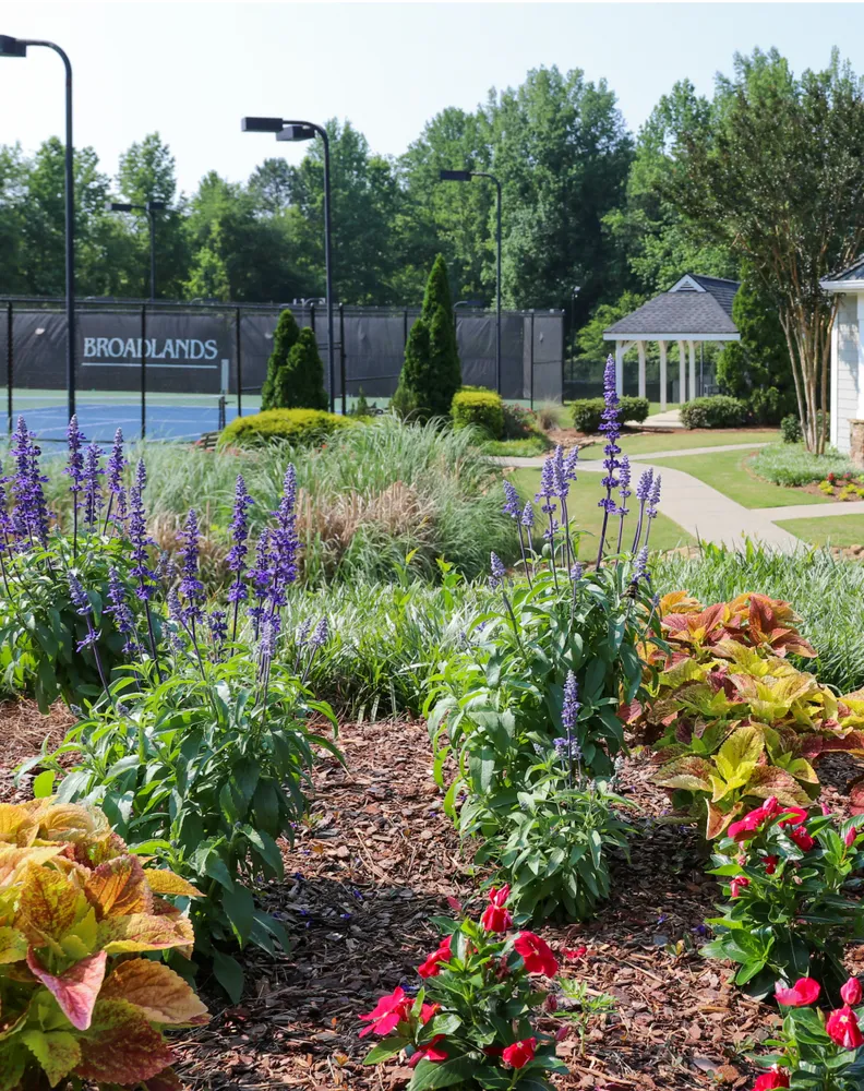 All Photos for Galt Landscape Company in Canton, GA