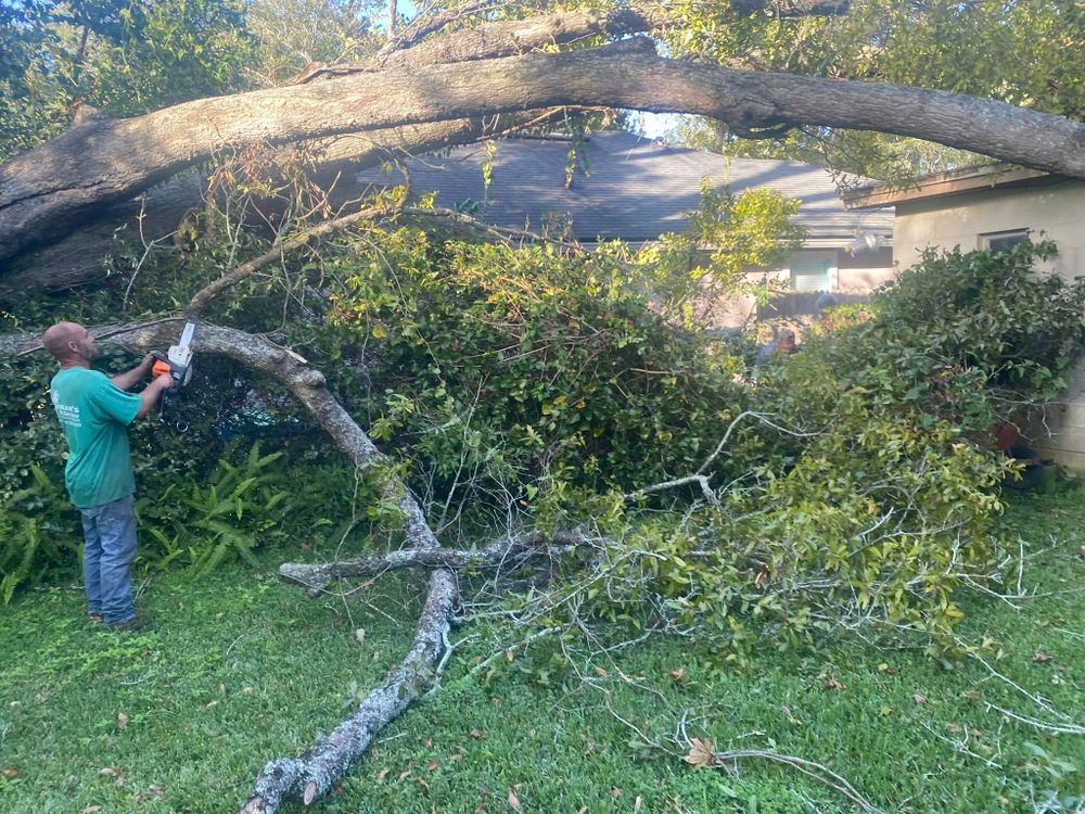 Our professional tree removal service ensures safe and efficient elimination of unwanted trees, enhancing your landscape's beauty and safety while protecting property value for homeowners. Trust us for reliable expertise in tree care. for Fast Cut Tree Service in Jacksonville Heights, FL