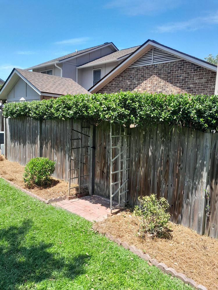 All Photos for Handy Al's Landscaping LLC in Greenville, NC