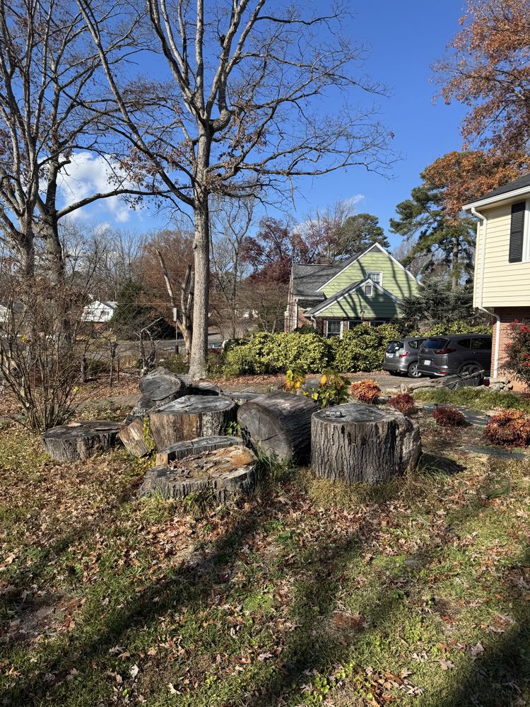 All Photos for Rawls Tree Care in Richmond, VA