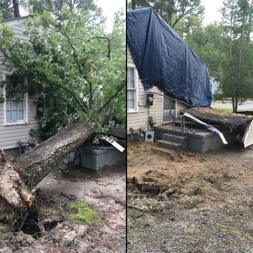 All Photos for Tucker's Tree Service and Stump Grinding in Lugoff, SC