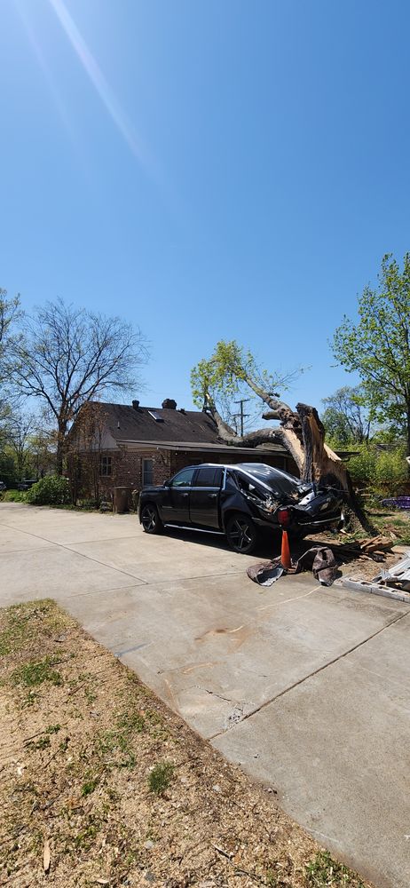 All Photos for Tree Fellers in Sumner County, TN