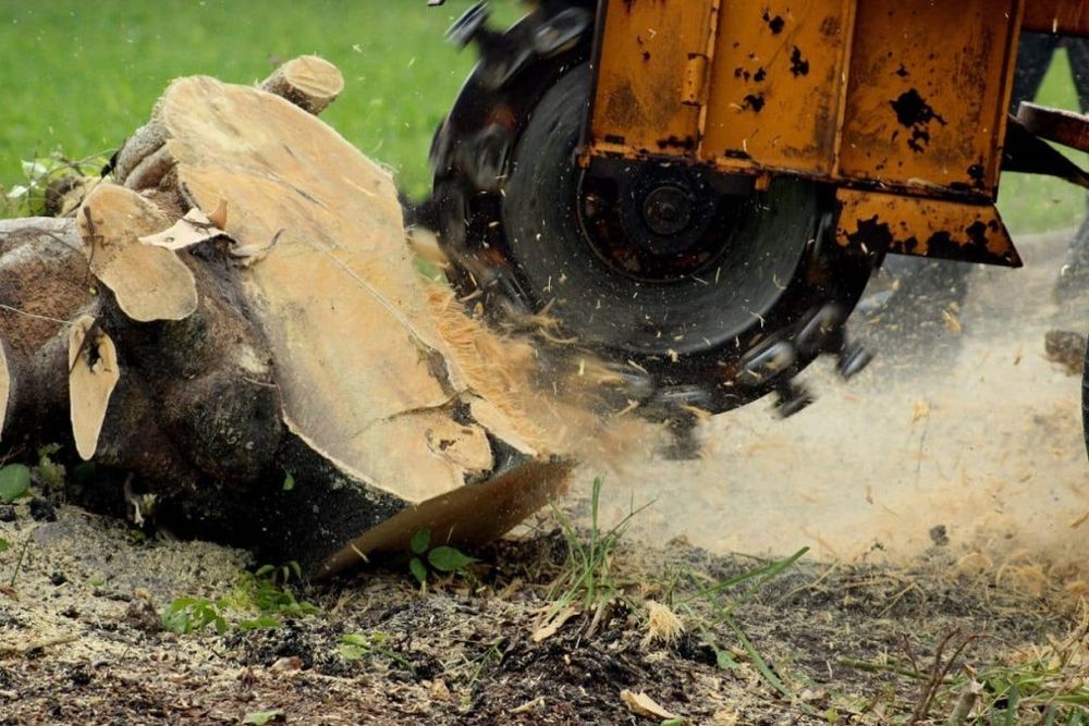 We offer professional stump removal services to fully eliminate unsightly tree stumps from your property, ensuring a clean and clear landscape that is safe and aesthetically pleasing. for Forester Tree Care in Tool,  TX