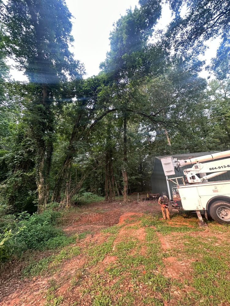 Tree Removal for Moore’s Tree Service in Chesnee, SC