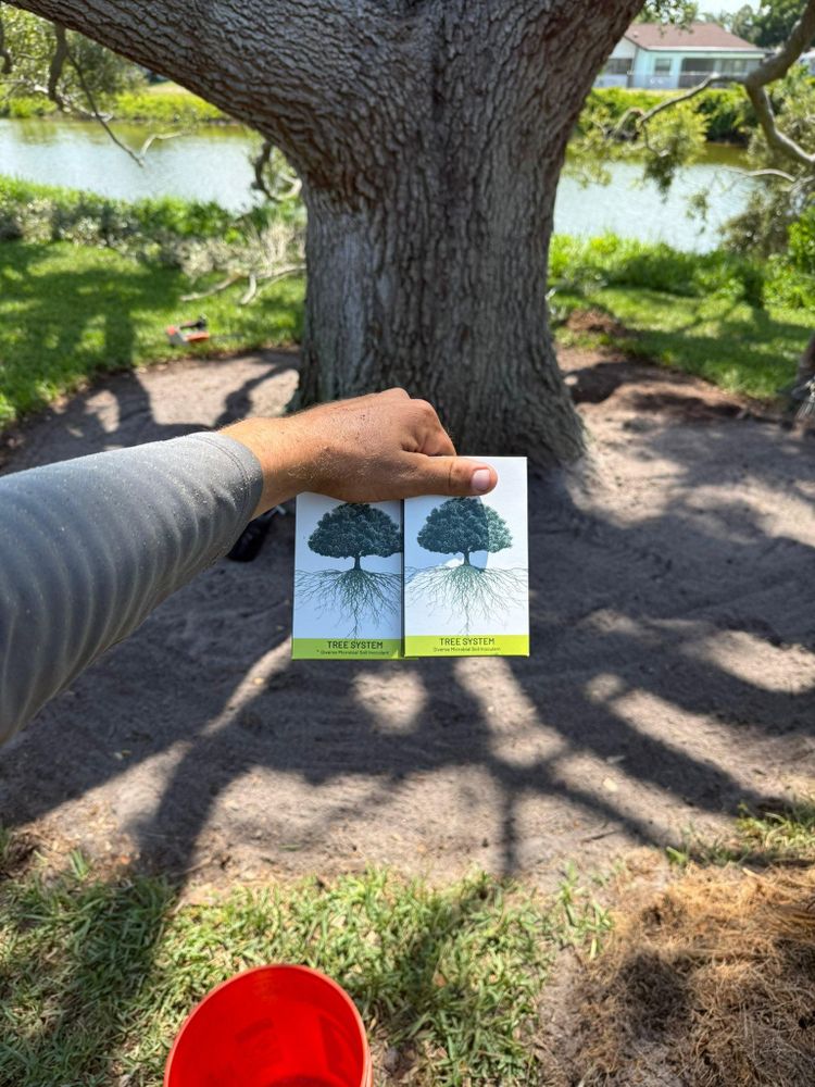 All Photos for MX Trees in Englewood, FL
