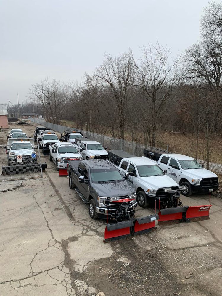 landscaping for Contemporary Landscape in St. Louis, MO