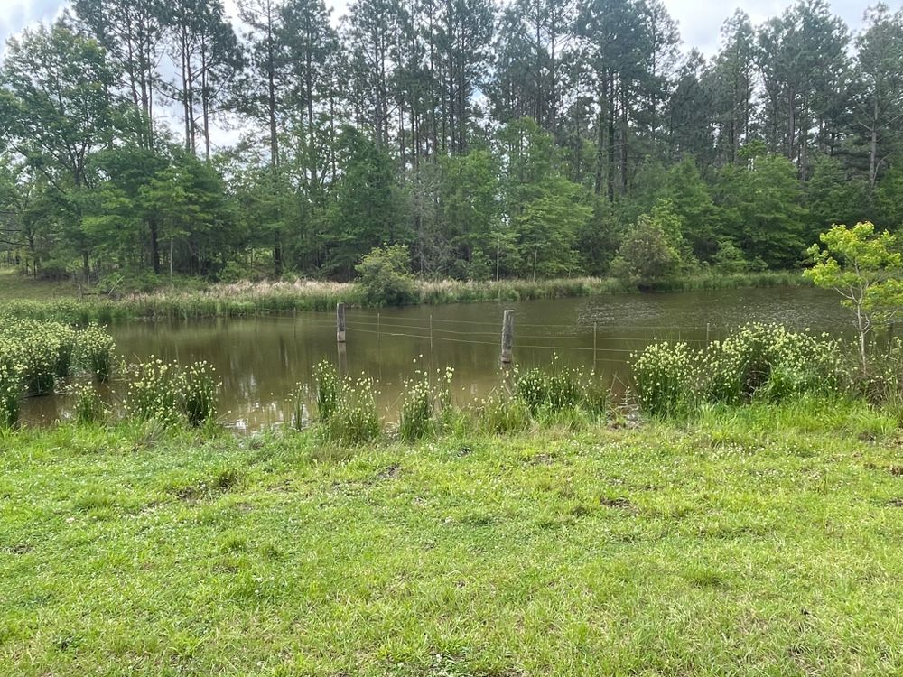 All Photos for Platinum Construction llc in Pearl River, MS