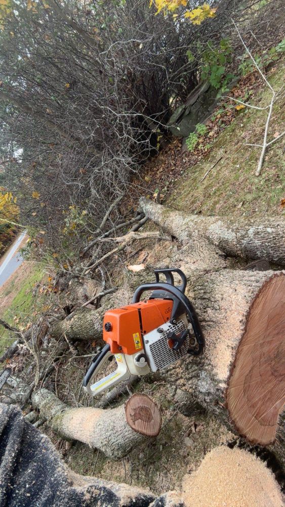 All Photos for Dwights Tree Service in Middleborough, MA