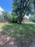 All Photos for Oviedo Land & Garden in Bastrop, TX