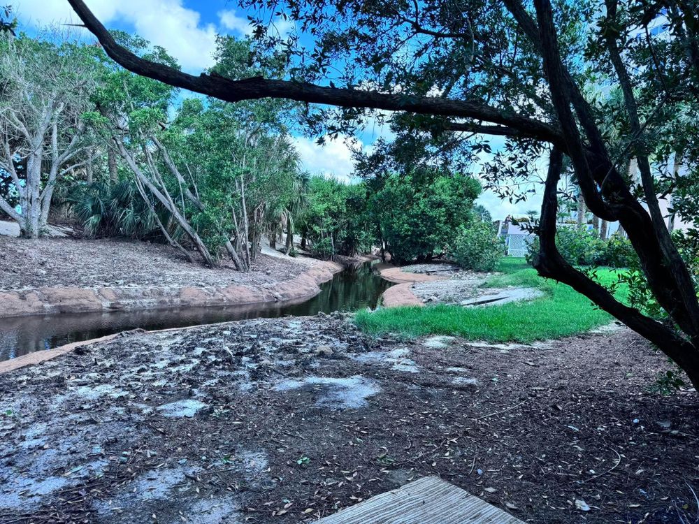 All Photos for McLeran in Naples, FL
