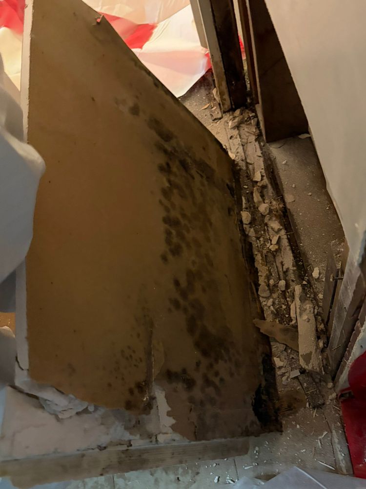 Asbestos Abatement for ACM Environmental in Salt Lake City, UT