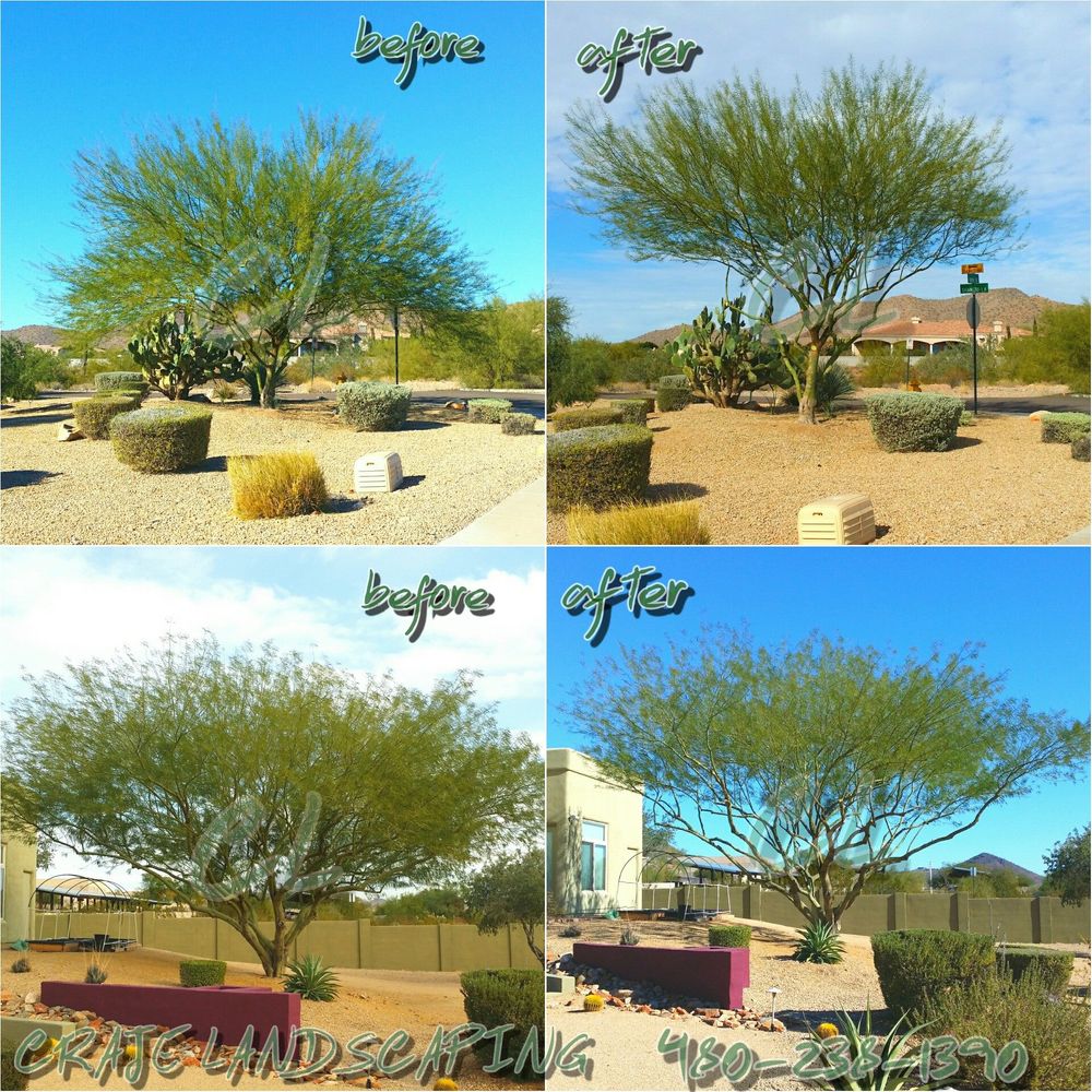 All Photos for CRAJE Landscaping LLC in Mesa, AZ