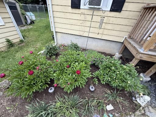 All Photos for Ardisi Landscaping & Design in Poughkeepsie, NY 