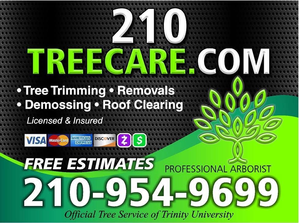 All Photos for 210 Tree Care in San Antonio, TX