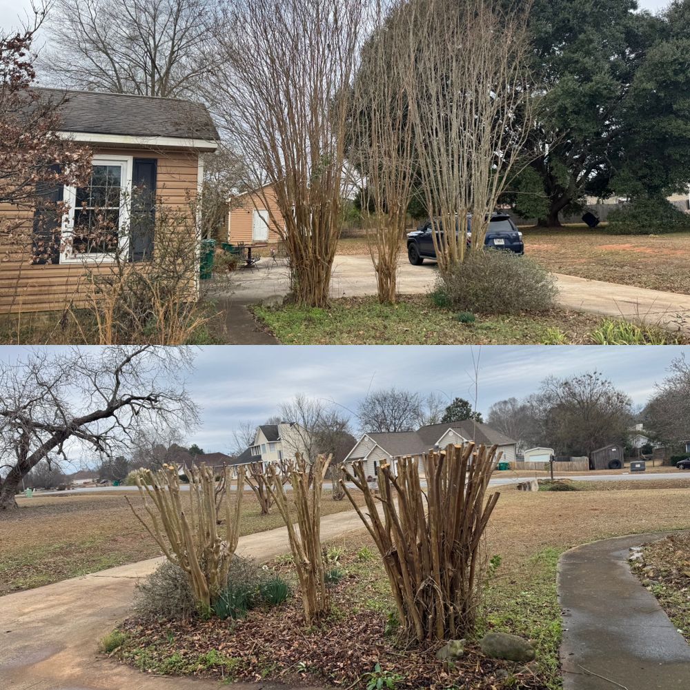 All Photos for Camalett Services in Perry, GA