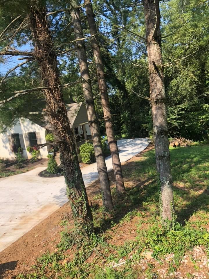 Our bush hogging service efficiently clears overgrown land, ensuring a tidy and accessible space. Perfect for maintaining extensive properties, it prepares your landscape for further development or enhances its overall appearance. for Rocky Top Concrete & Excavating in Knoxville, TN
