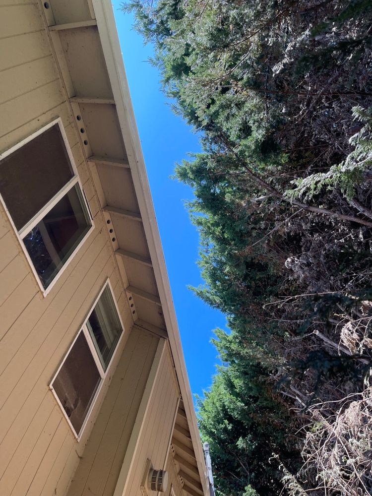 All Photos for Tony's Remodeling & Painting in Renton, WA