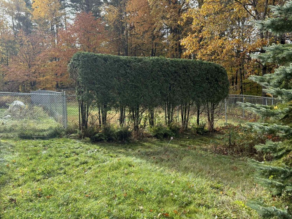 All Photos for Mow N Maintain Property Maintenance in Williston, VT