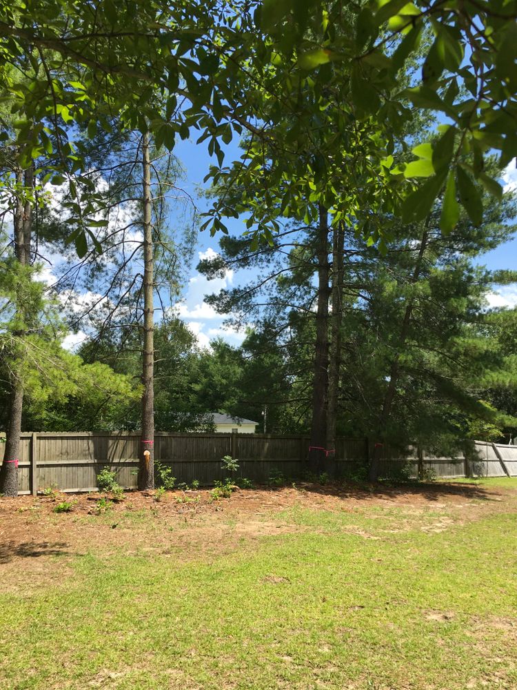 All Photos for Tucker's Tree Service and Stump Grinding in Lugoff, SC