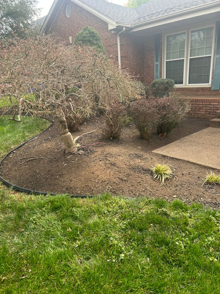 All Photos for Optimum Tree Service And Landscaping in Bowling Green, KY