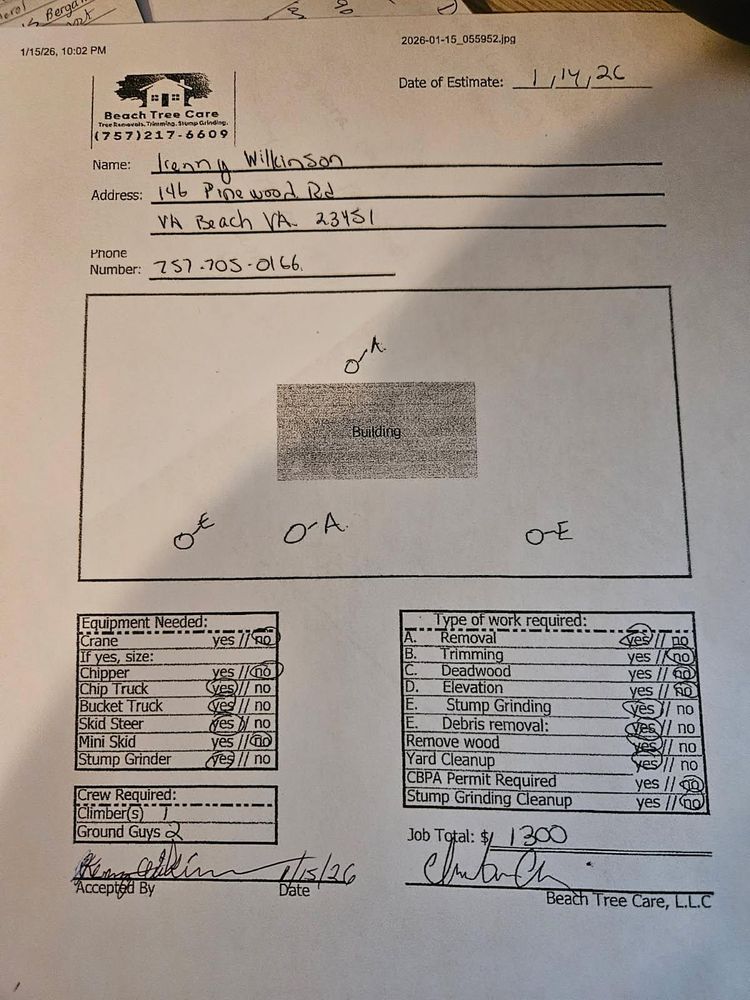 All Photos for Beach Tree Care in Virginia Beach, VA