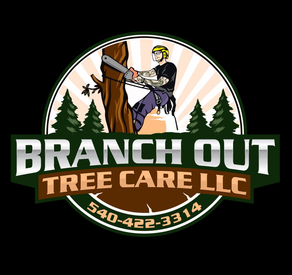 All Photos for Branch Out Tree Care LLC in Fredericksburg, VA