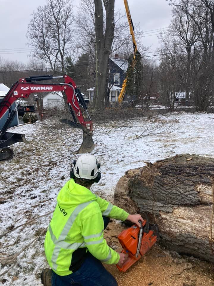 Tree Removal for J&E Tree & Excavation Services in Sandy, PA