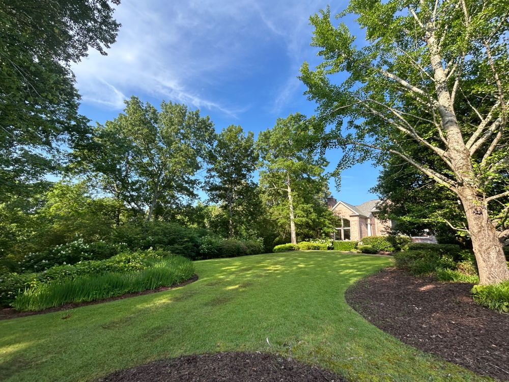 All Photos for Chipper's Tree Service  in Fort Payne, AL