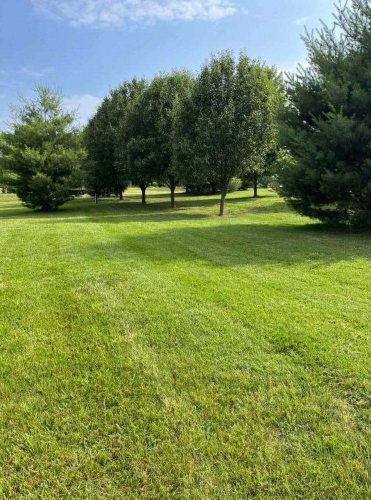 Our Fall Clean Up service ensures your yard is pristine and ready for winter, including leaf removal, pruning, and garden bed cleanup to maintain curb appeal and prepare your landscape for spring. for Wright Lawn Services in Ozark, MO
