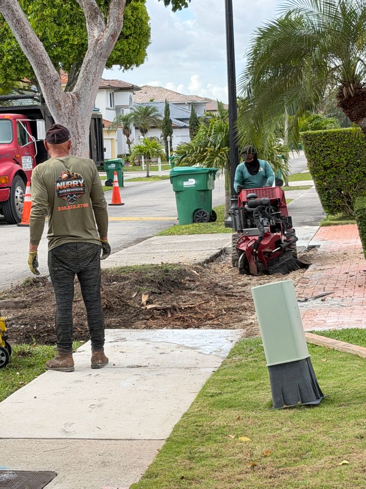 All Photos for Nurry Tree Services in Miami, FL