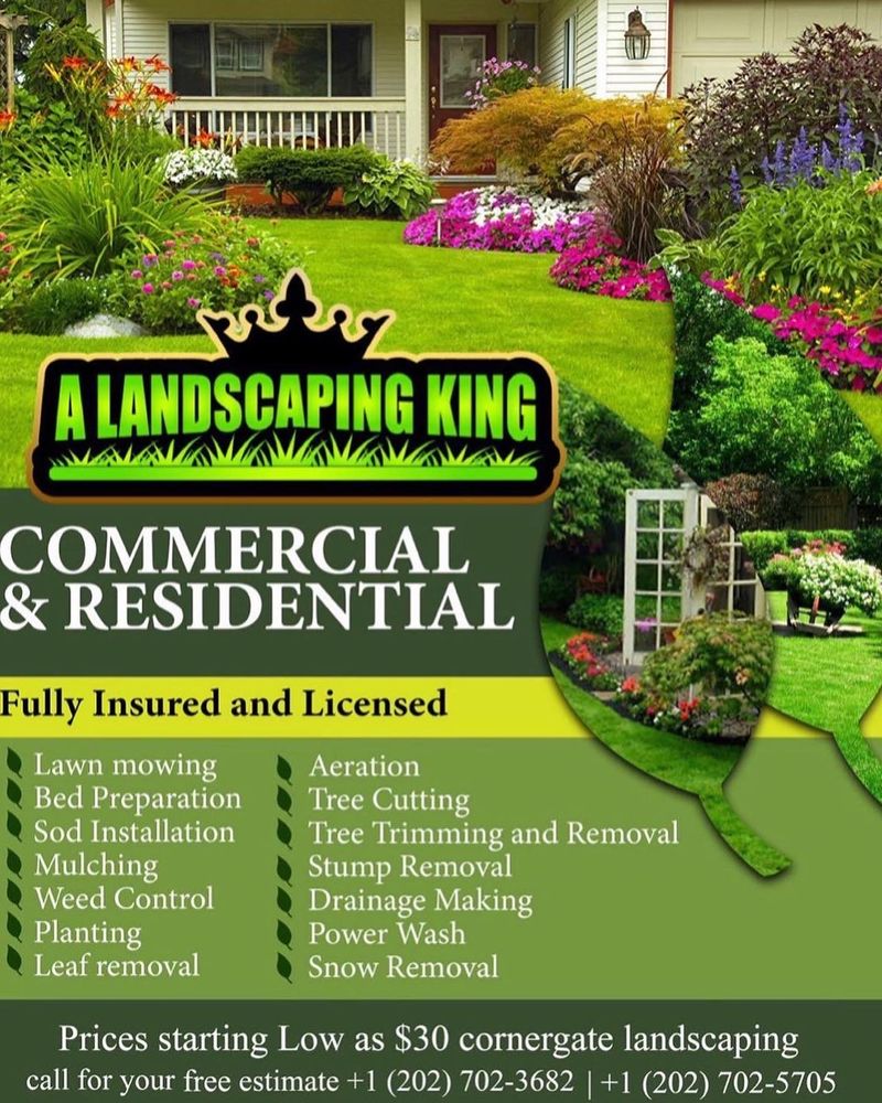 Our Seeding service ensures lush, healthy grass by expertly distributing quality seeds across your lawn. Trust us to promote vibrant growth and enhance the overall appeal of your outdoor space. for A Landscaping King in Upper Marlboro, MD