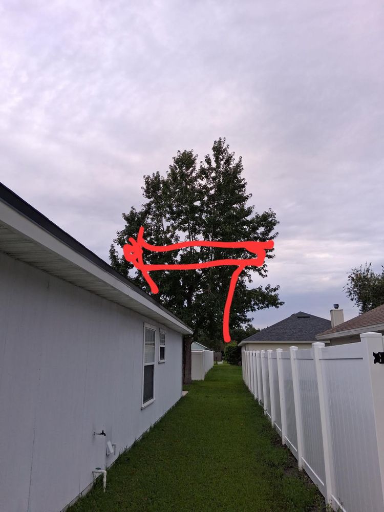 All Photos for Top Notch Tree Experts in Orange Park, FL
