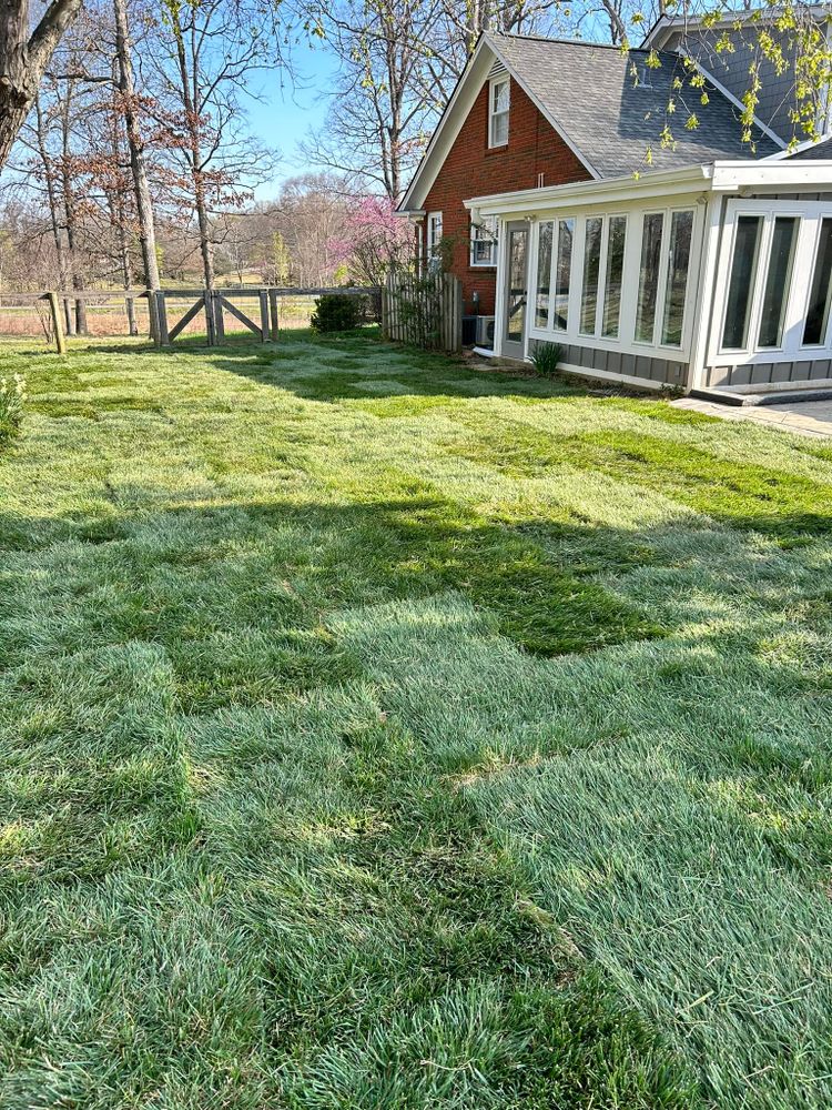 Lawn Care for Bailey’s Lawn Care & Dirt Service in Murray, KY