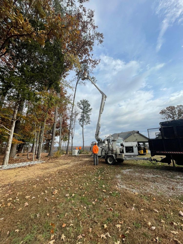 All Photos for Ross Family Tree Service LLC  in Hohenwald, TN
