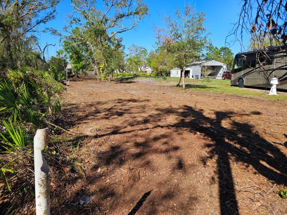 All Photos for Bay Area Bobcat in Riverview, FL