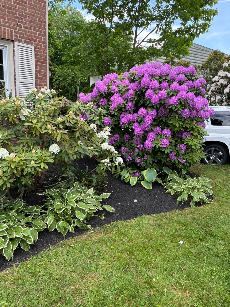 All Photos for JAD Excavating LLC in Goshen, CT