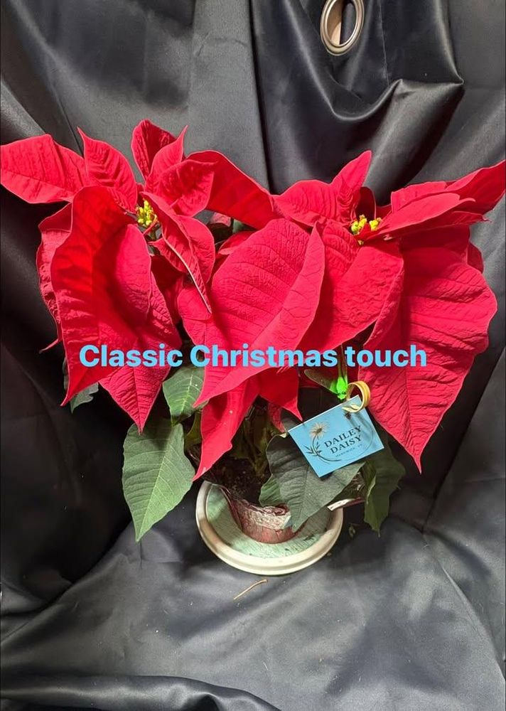 All Photos for The Dailey Daisy in Hardwick, VT