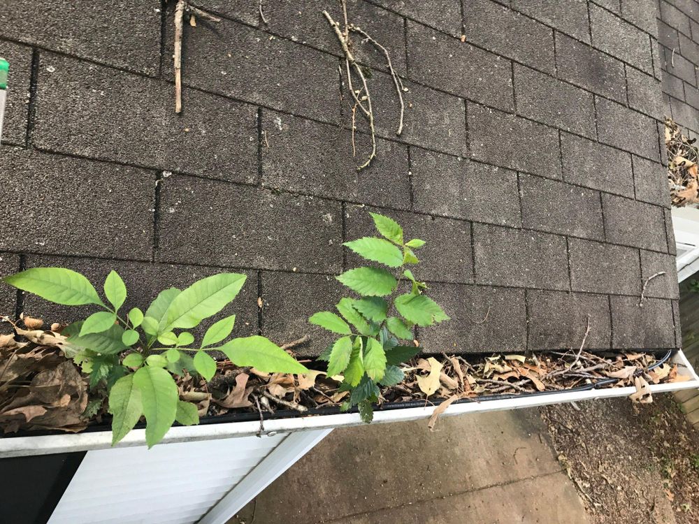 House and Roof Softwash for Oakland Power Washing in Clarksville, TN