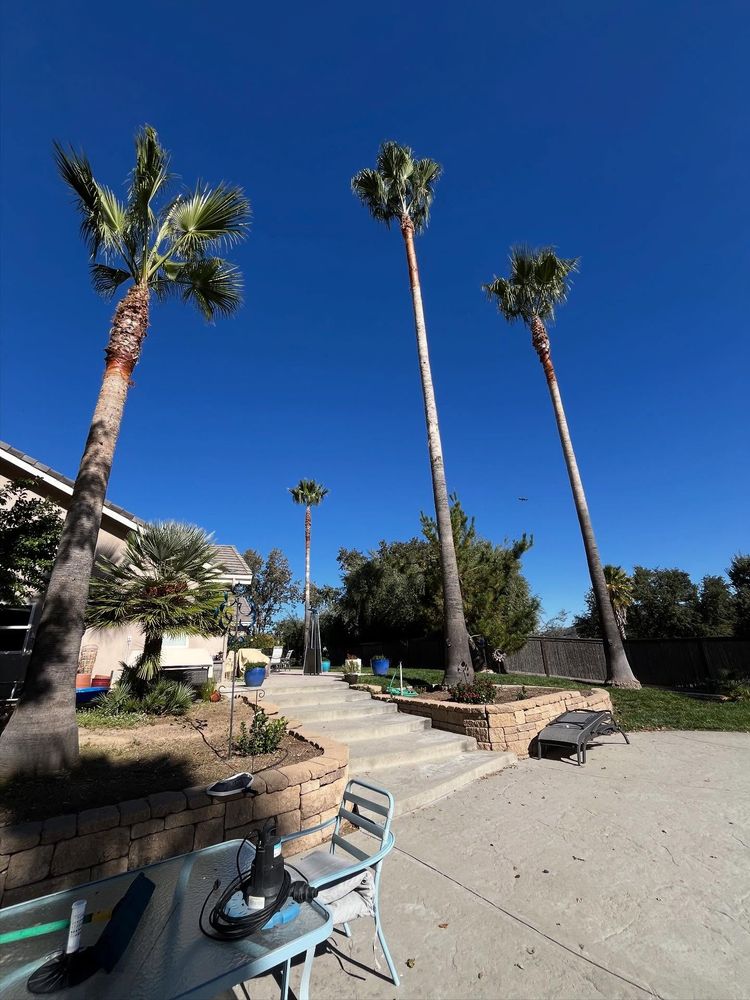 All Photos for A1 Junk & Tree Solutions, LLC in Paso Robles, CA