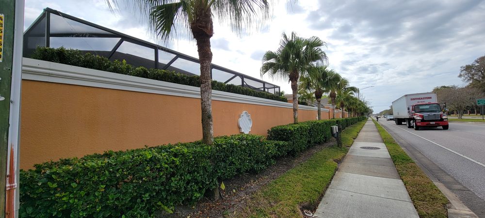 All Photos for Blue Stream Roof Cleaning & Pressure Washing in Tampa, FL