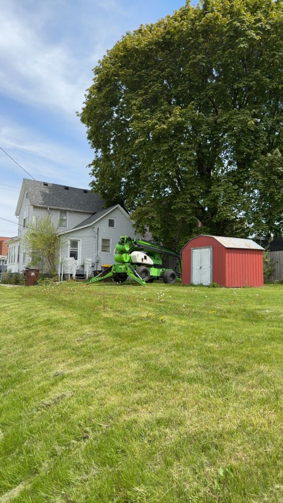 All Photos for Fransen's Tree Service  in Freeport, IL