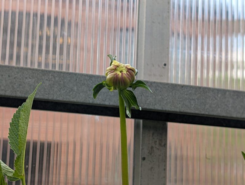 All Photos for Evolution Earthscapes, LLC in Ludlow, MA