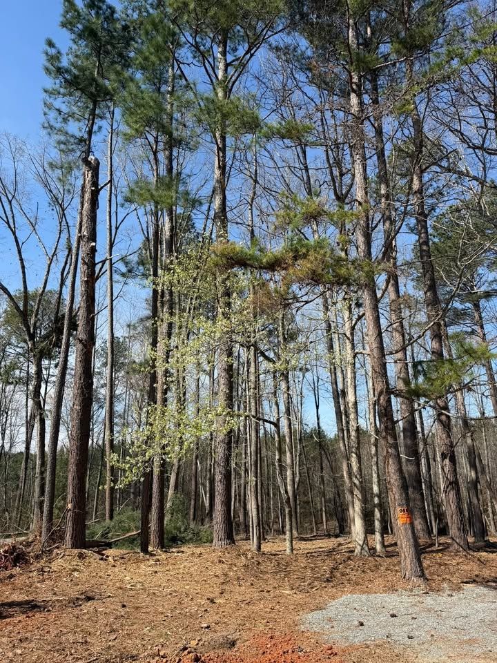 All Photos for Hunt’s Hauling & Landworks LLC in Danville, VA