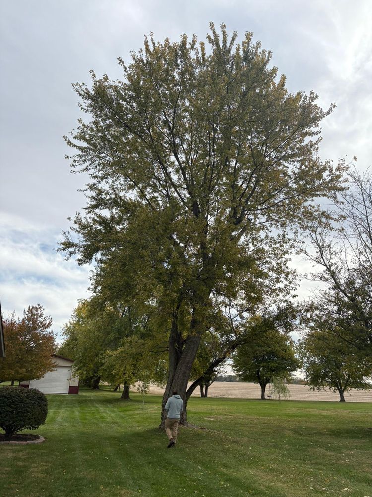 All Photos for Dig-It Tree Company in Mason, OH