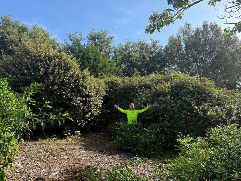 Enhance your home's curb appeal and promote healthy growth with our expert tree pruning services. Our professionals ensure precise cuts, improving safety and aesthetics while optimizing sunlight exposure for a thriving landscape. for Amerigrown Tree And Lawn in Apopka, FL