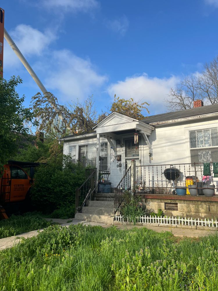 All Photos for Curtis Tree Service LLC in Hopkins County, KY