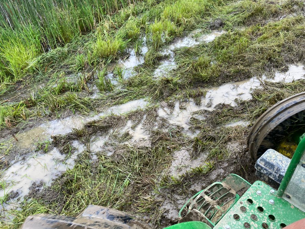 All Photos for A1 Bush Hogging & Lawn Service in Columbus, OH