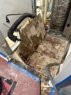 All Photos for N&D Restoration Services When Disaster Strikes, We Come In in Cape Coral,  FL